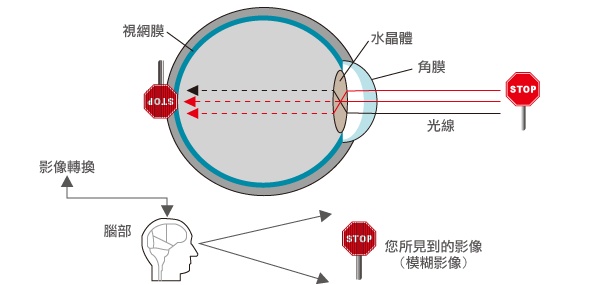 眼動(dòng)儀成像原理